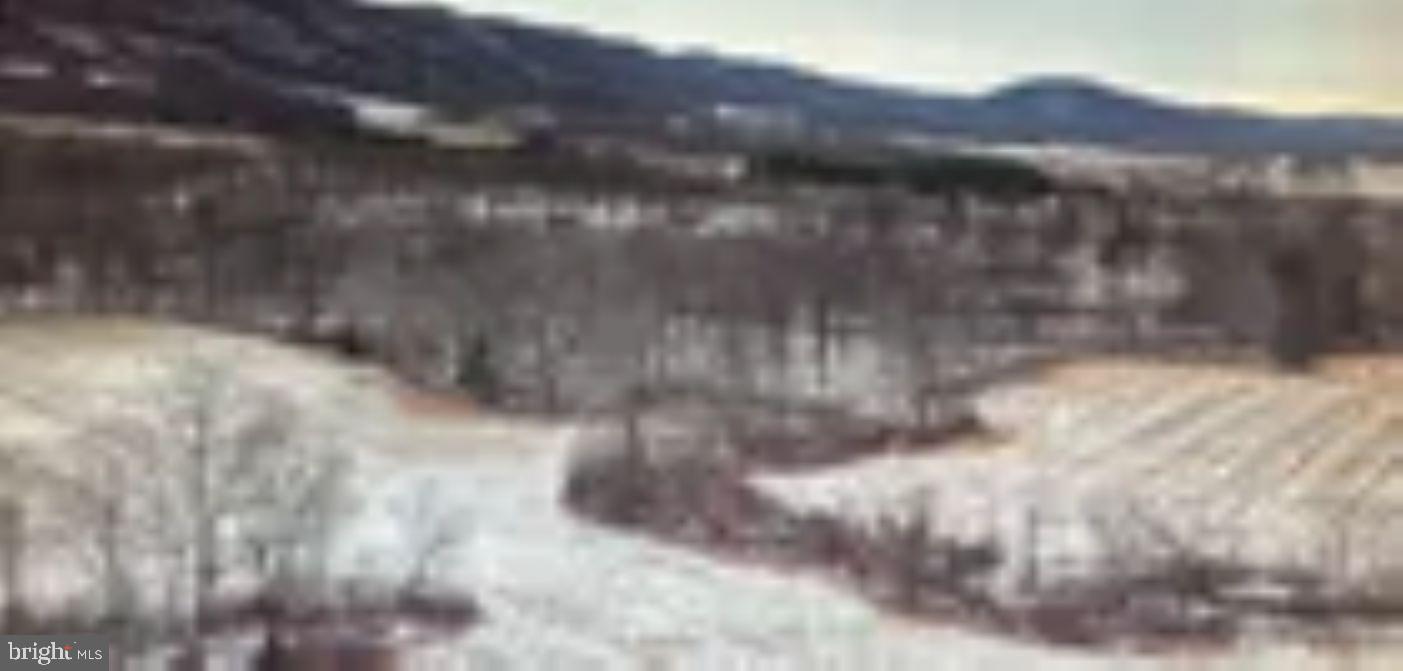 18951 Amberson Road Spring Run, PA 17262 - Photo 24 of 44 a view of a yard