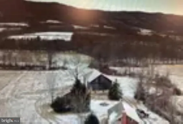 a view of a yard with trees