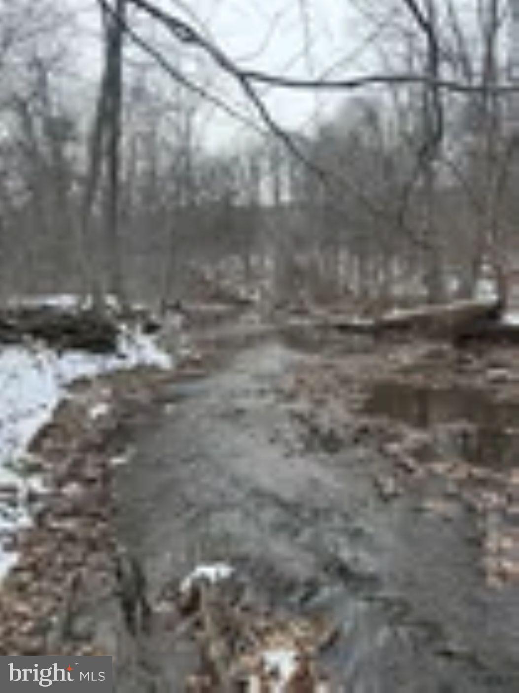 18951 Amberson Road Spring Run, PA 17262 - Photo 28 of 44 a view of a yard