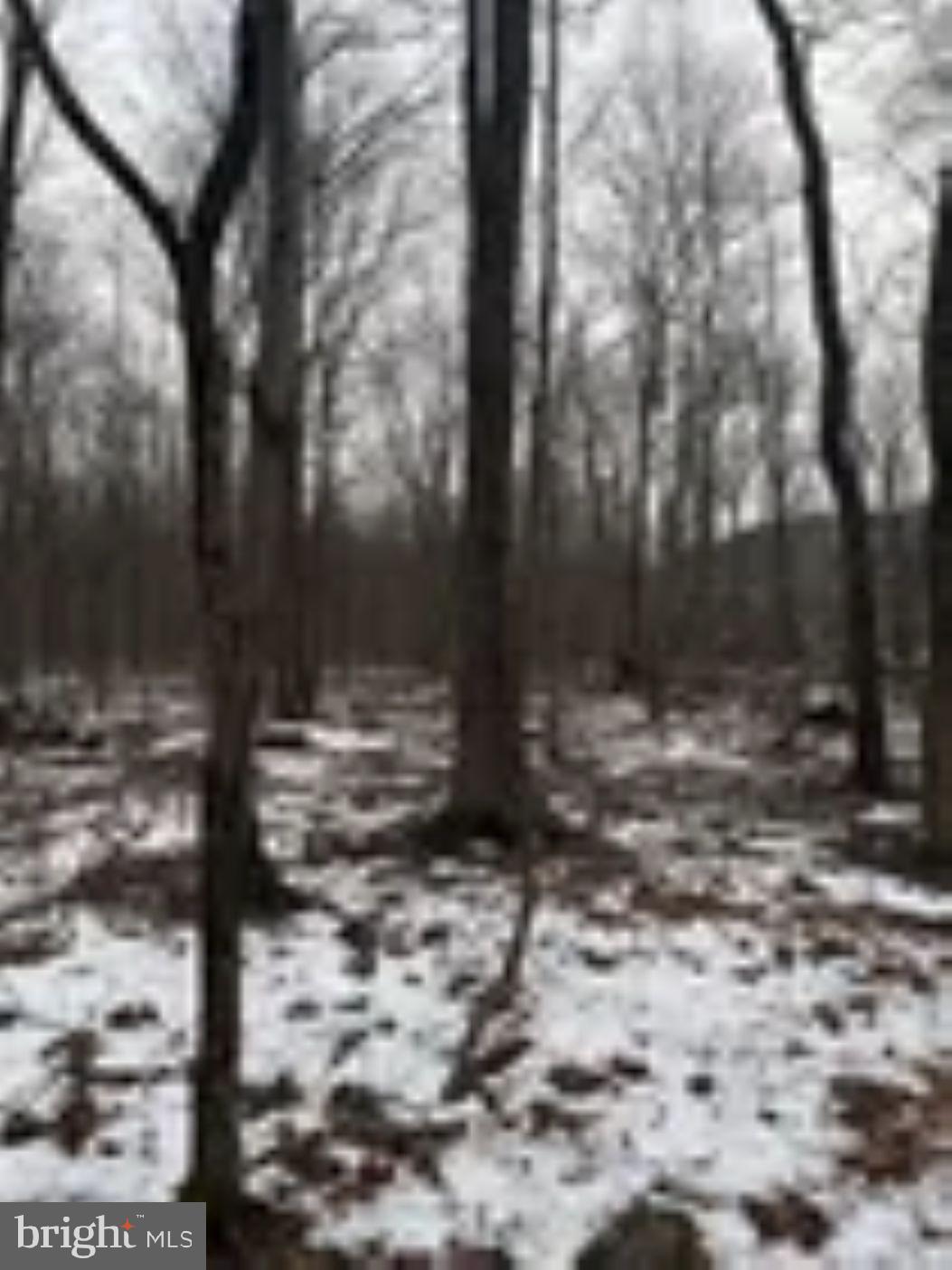18951 Amberson Road Spring Run, PA 17262 - Photo 29 of 44 a view of a yard with trees