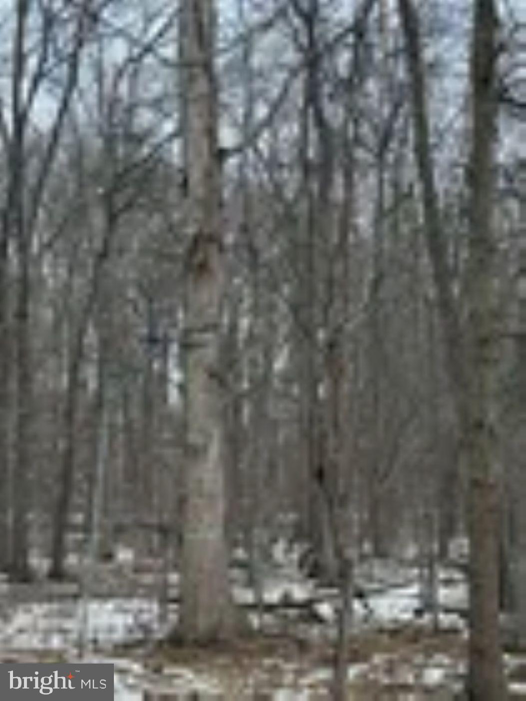 18951 Amberson Road Spring Run, PA 17262 - Photo 31 of 44 a view of a yard