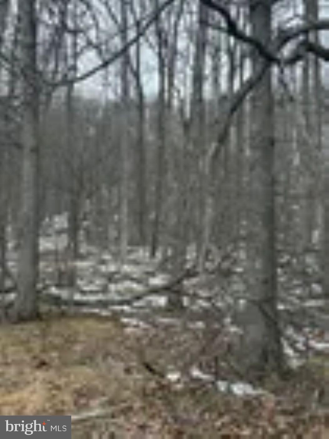 18951 Amberson Road Spring Run, PA 17262 - Photo 36 of 44 a view of yard