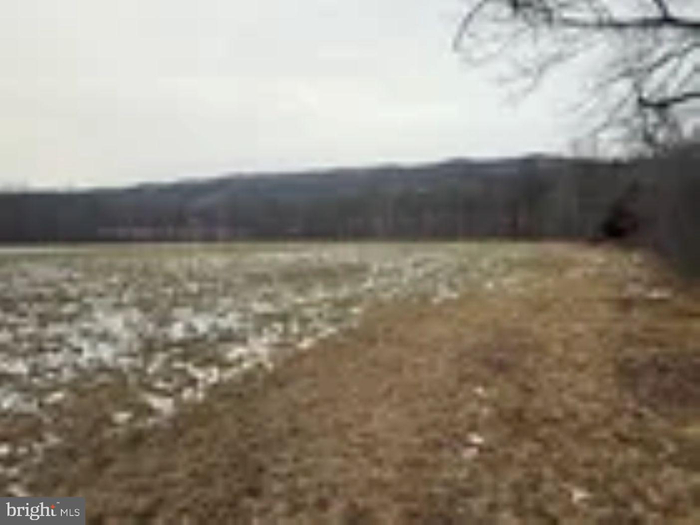 18951 Amberson Road Spring Run, PA 17262 - Photo 38 of 44 a view of an ocean