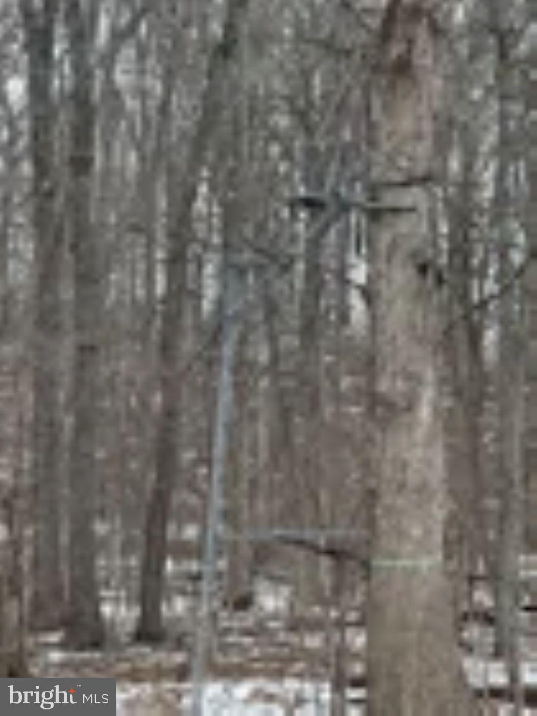 18951 Amberson Road Spring Run, PA 17262 - Photo 39 of 44 a view of a shower