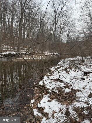 18951 Amberson Road Spring Run, PA 17262 - Photo 4 of 24 a view of lake with trees