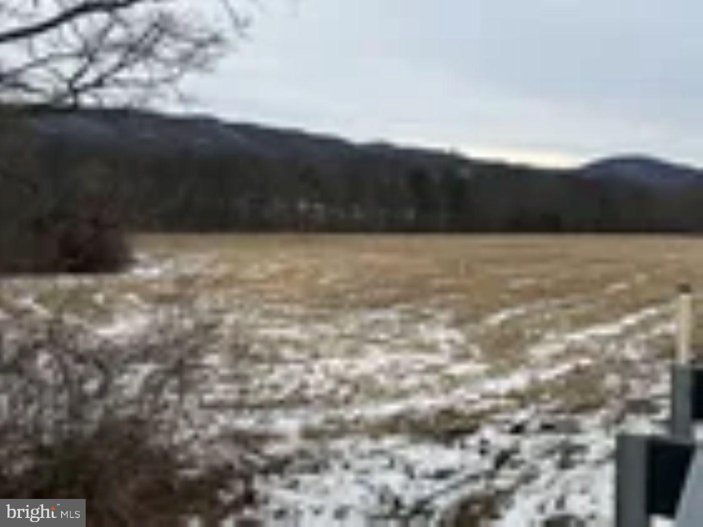 18951 Amberson Road Spring Run, PA 17262 - Photo 42 of 44 a view of outside area