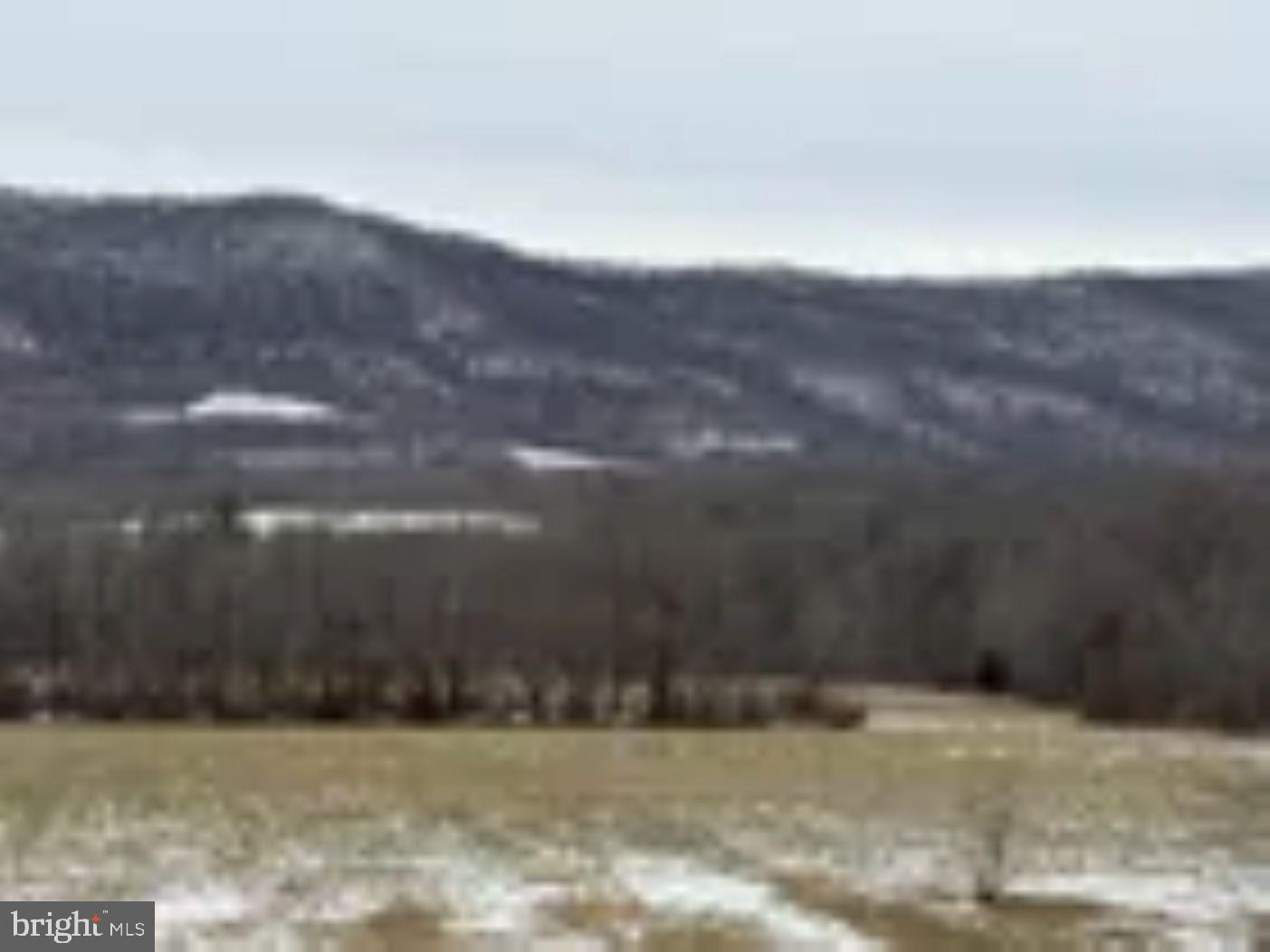 18951 Amberson Road Spring Run, PA 17262 - Photo 43 of 44 a view of a yard