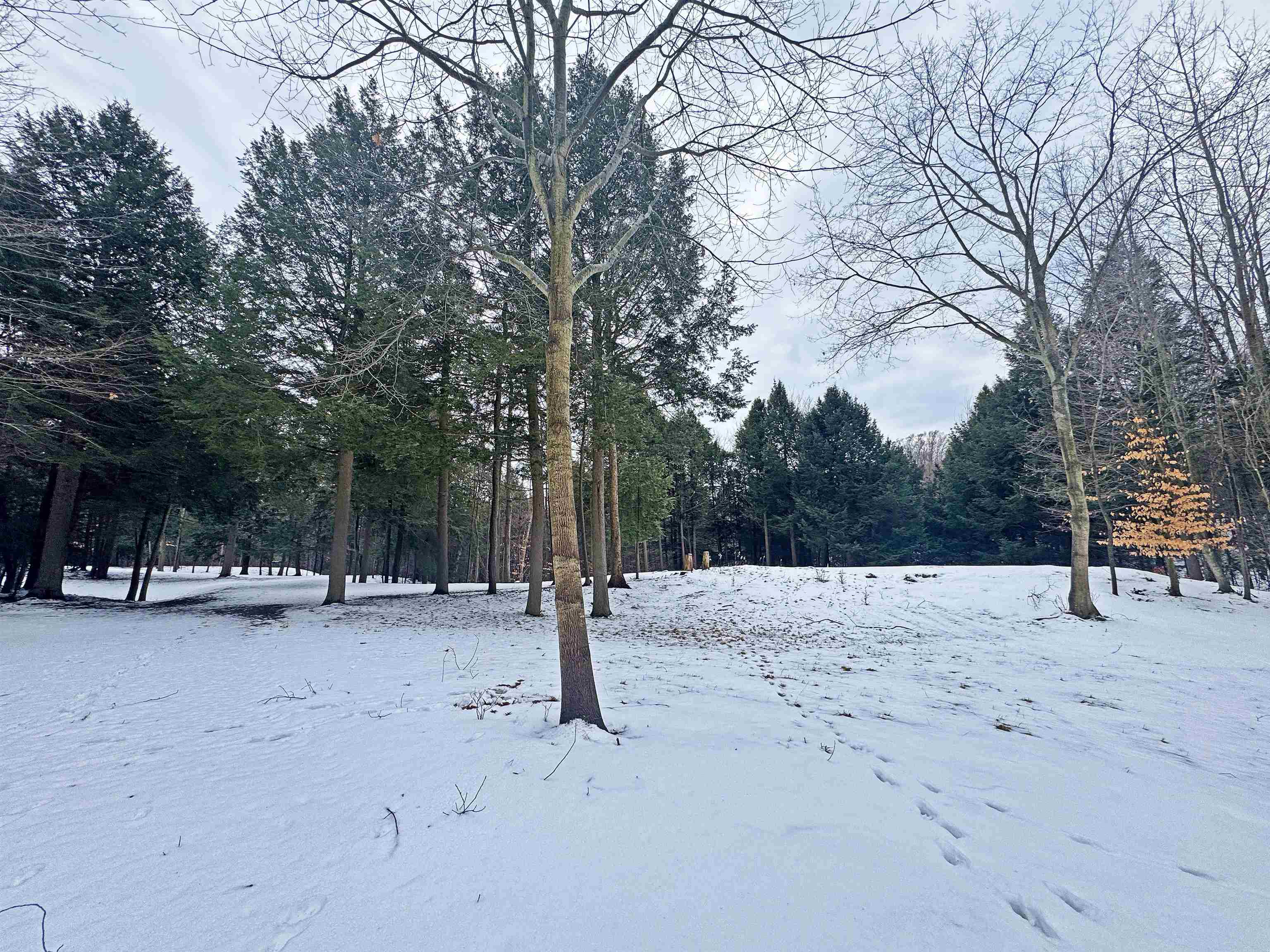 82-107 Moon Ridge Road, Unit LOT: 82,107 Onekama, MI 49675 - Photo 16 of 48