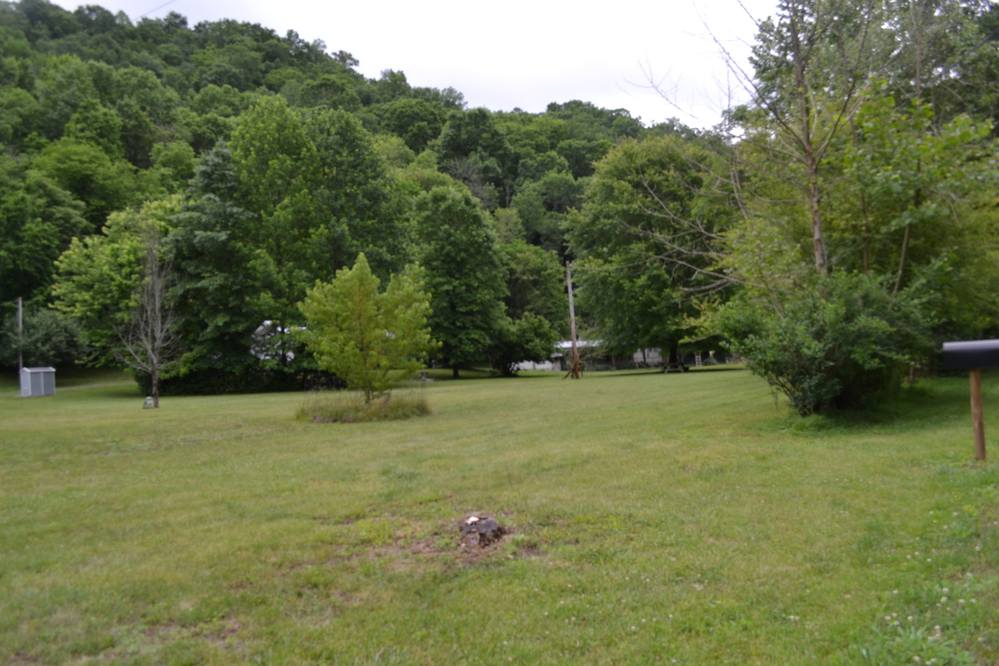 1505 Add Stafford Road Hilham, TN 38568 - Photo 57 of 65 a backyard of a house with lots of green space
