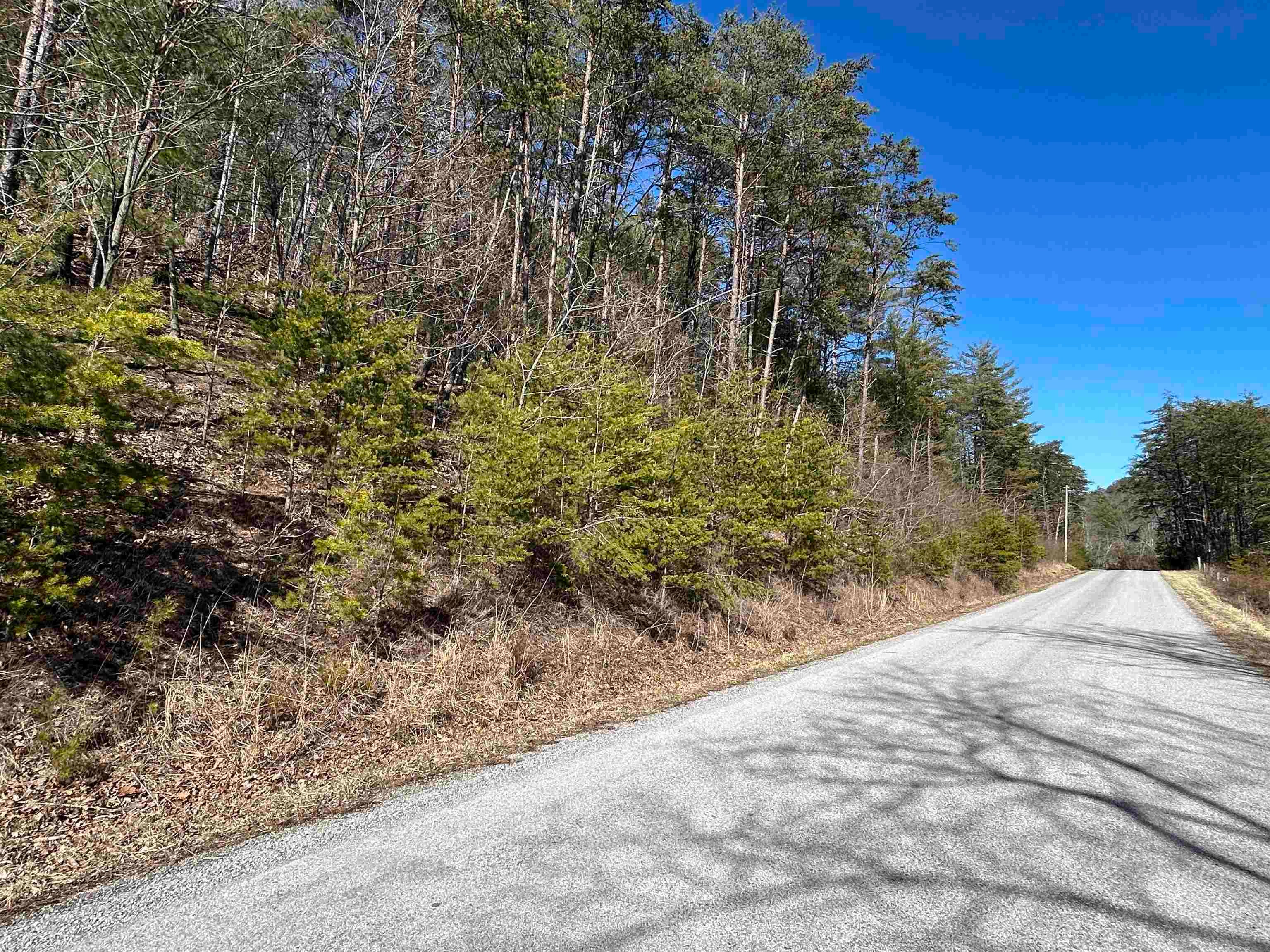 4266 Craig Creek Road Catawba, VA 24070 - Photo 32 of 44 Gallery Image 32