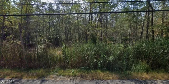 a view of a lake from a yard