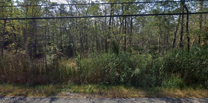 0 Apple Street Mays Landing, NJ 08330 - Photo 1 of 2 a view of a lake from a yard