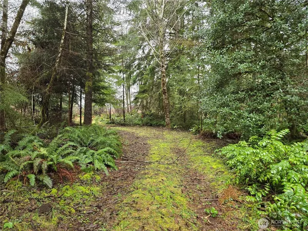 $99,000 | 1-2 West Elk Hill Road, Elma, WA 98541