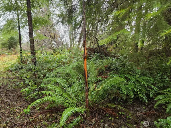 $99,000 | 1-2 West Elk Hill Road, Elma, WA 98541