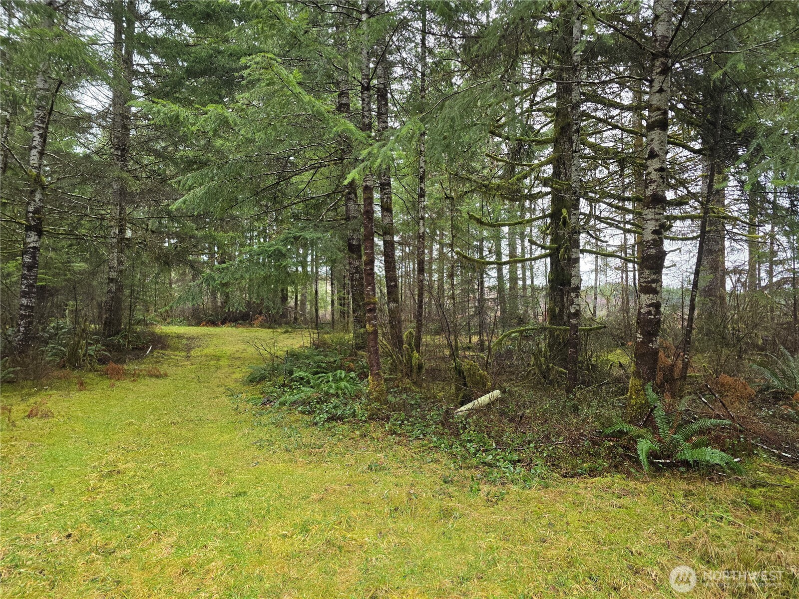 1-2 West Elk Hill Road Elma, WA 98541 - Photo 3 of 9