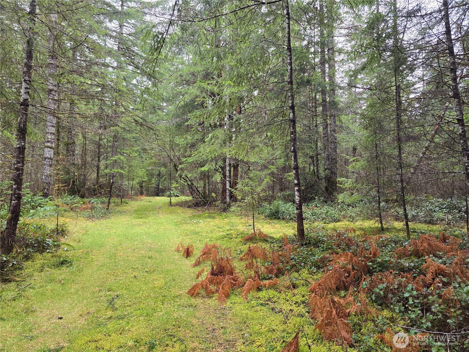 1-2 West Elk Hill Road Elma, WA 98541 - Photo 4 of 9