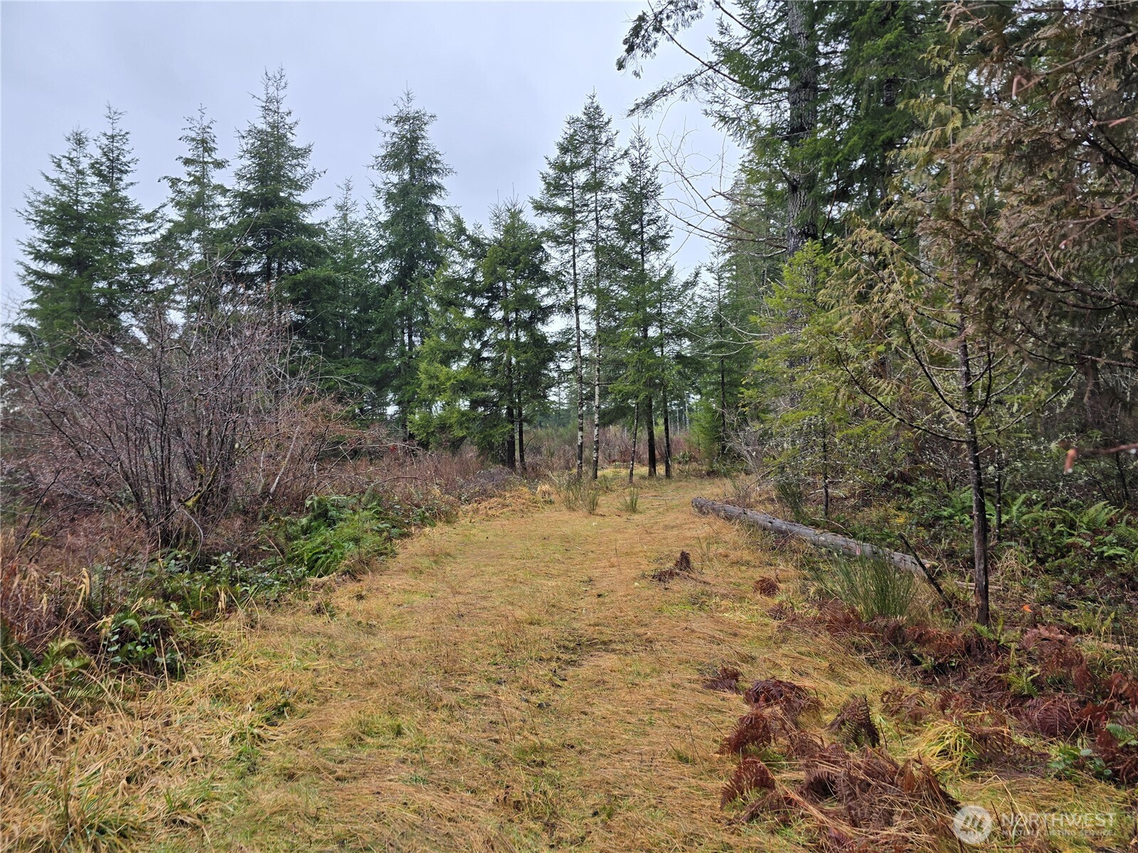 1-2 West Elk Hill Road Elma, WA 98541 - Photo 5 of 9