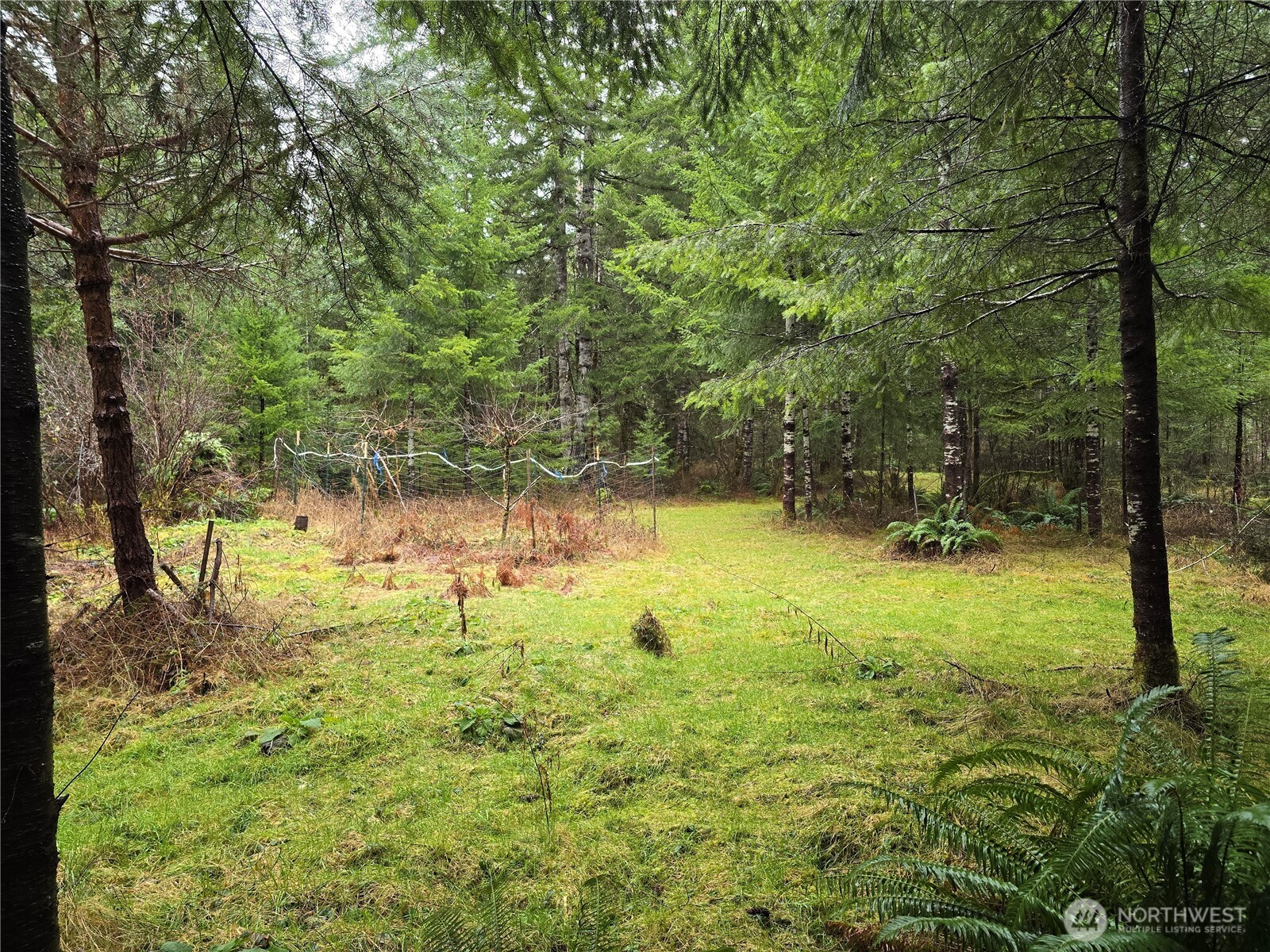 1-2 West Elk Hill Road Elma, WA 98541 - Photo 7 of 9