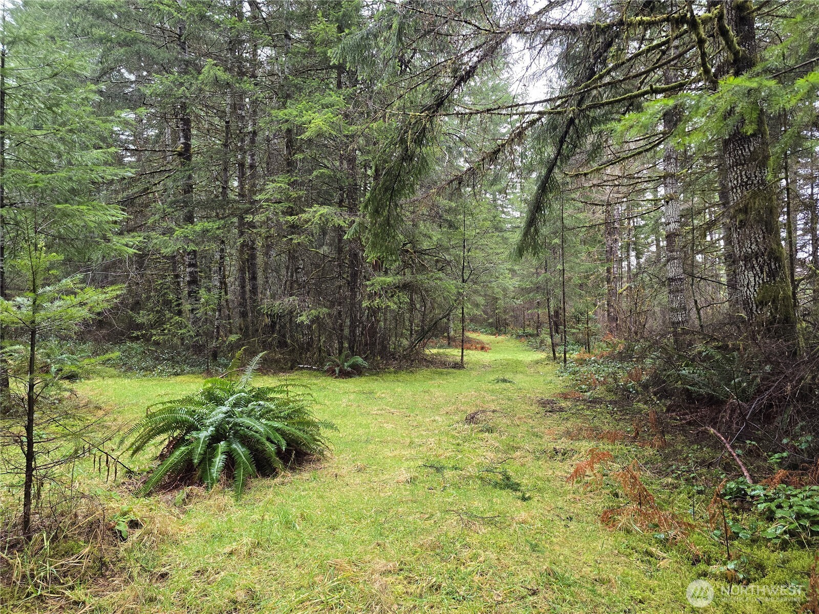 1-2 West Elk Hill Road Elma, WA 98541 - Photo 8 of 9