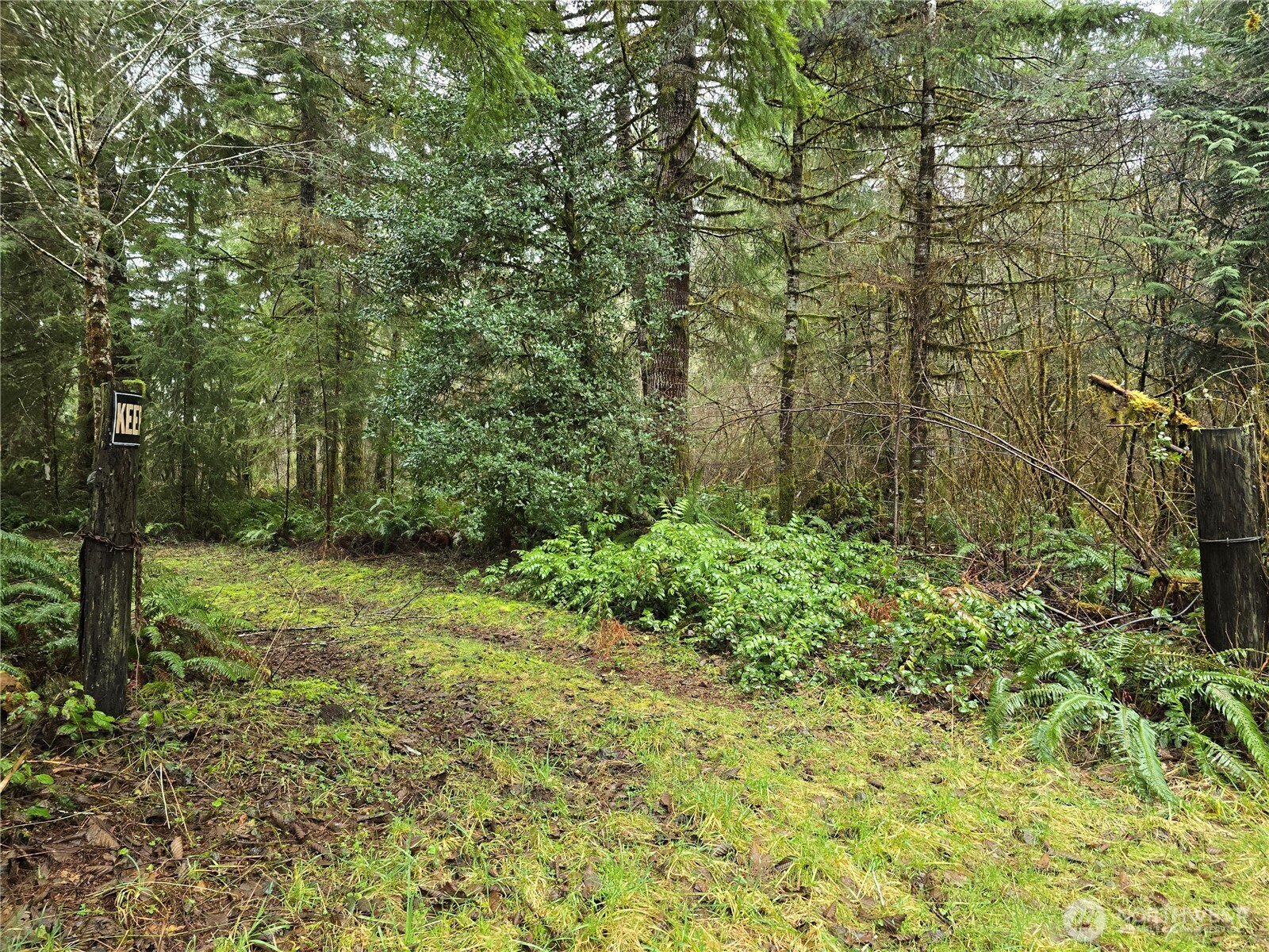 1-2 West Elk Hill Road Elma, WA 98541 - Photo 9 of 9