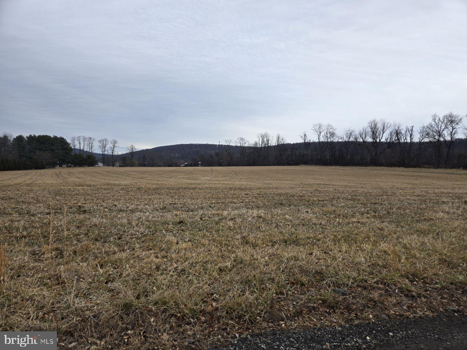 Woodgrove Road Purcellville, VA 20132 - Photo 2 of 8