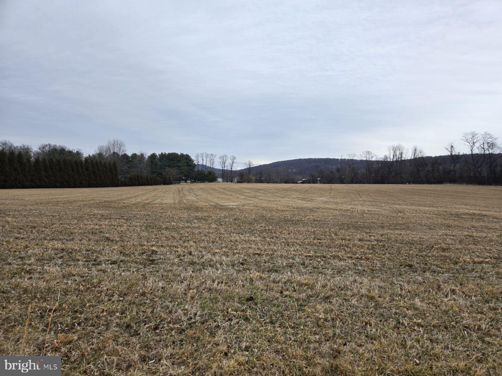 Woodgrove Road Purcellville, VA 20132 - Photo 4 of 8