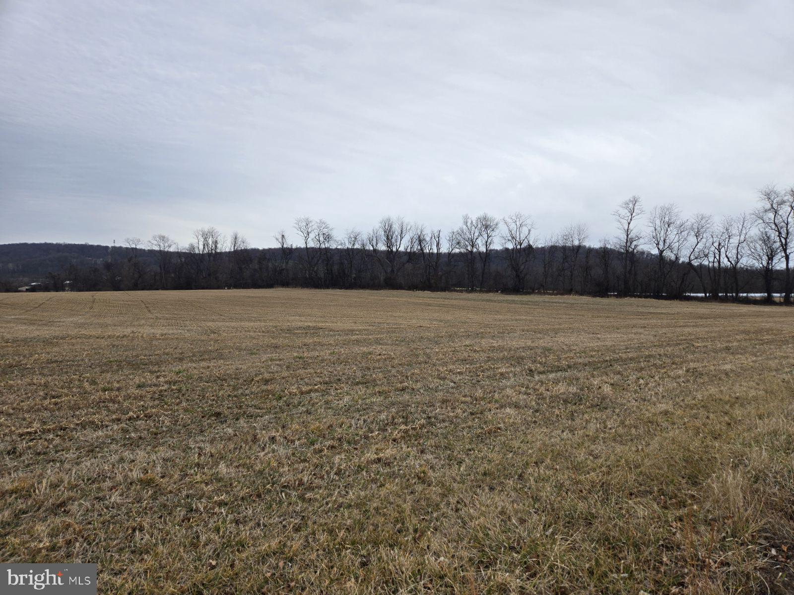 Woodgrove Road Purcellville, VA 20132 - Photo 5 of 8