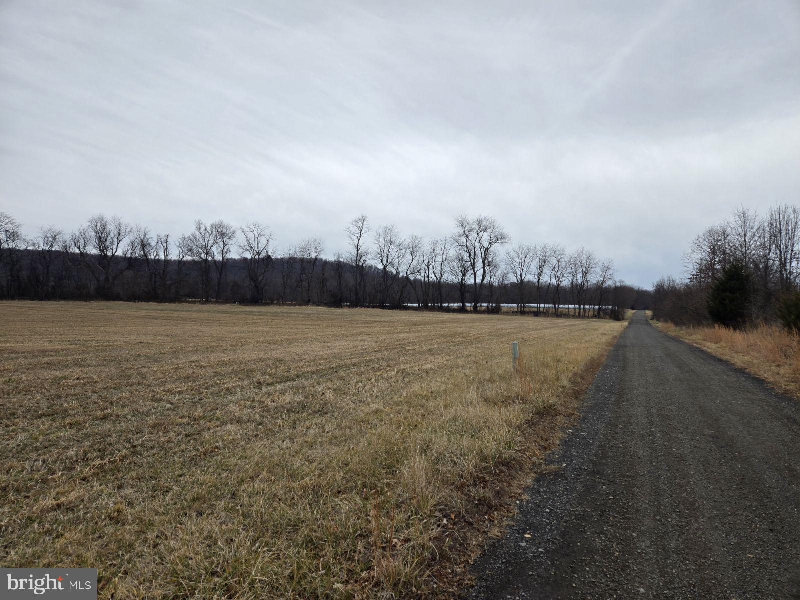 Woodgrove Road Purcellville, VA 20132 - Photo 6 of 8