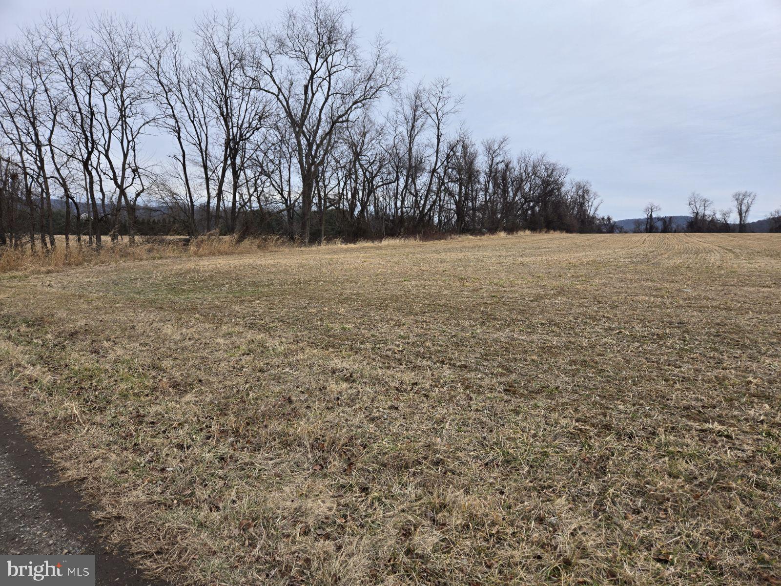 Woodgrove Road Purcellville, VA 20132 - Photo 7 of 8