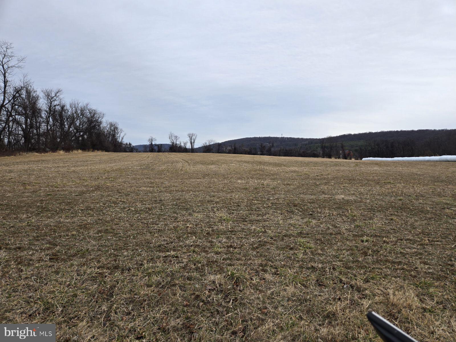 Woodgrove Road Purcellville, VA 20132 - Photo 8 of 8