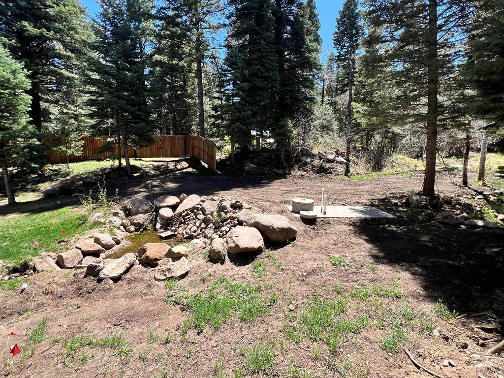 10421 Linger Longer Lane Rye, CO 81069 - Photo 35 of 46