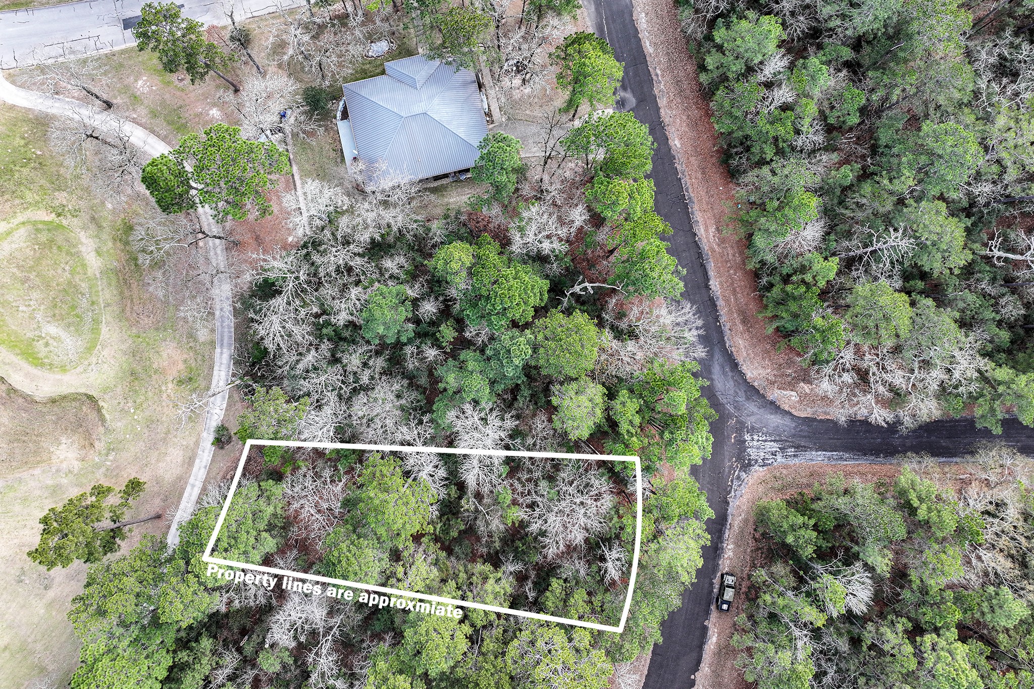 Tbd Pine Valley Point Blank, TX 77364 - Photo 2 of 10 an aerial view of a garden