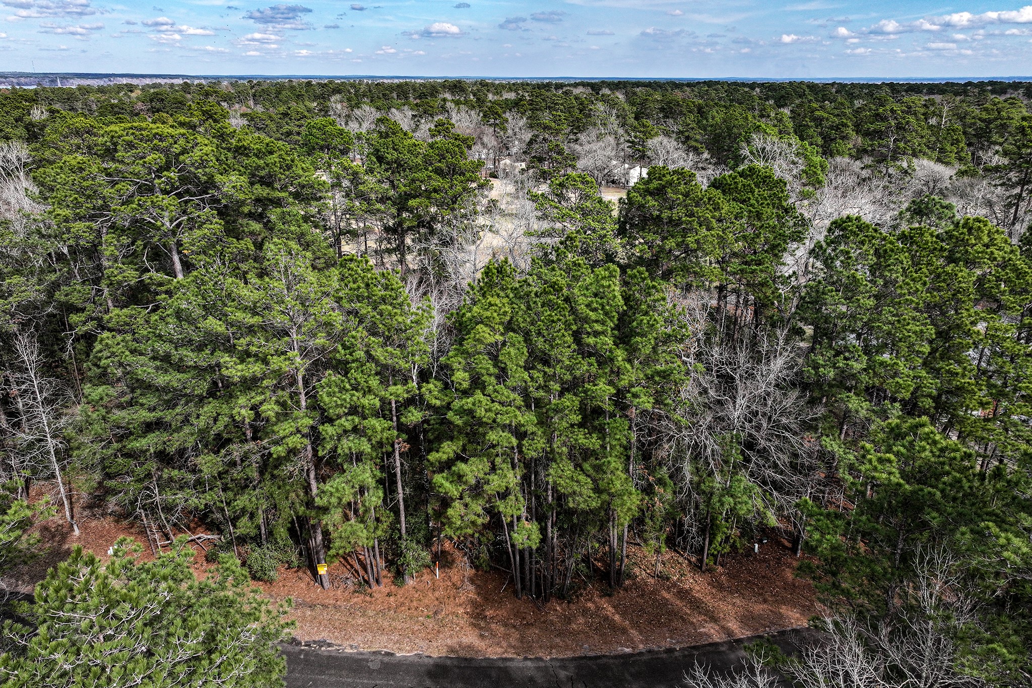 Tbd Pine Valley Point Blank, TX 77364 - Photo 3 of 10 a view of a bunch of trees