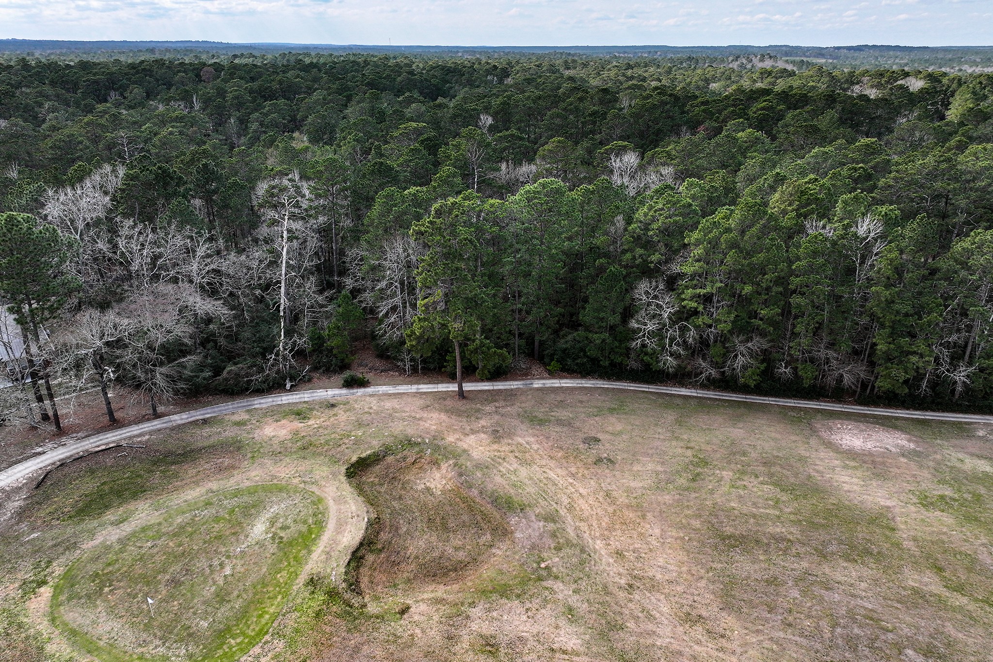 Tbd Pine Valley Point Blank, TX 77364 - Photo 7 of 10 a view of a swimming pool with a yard