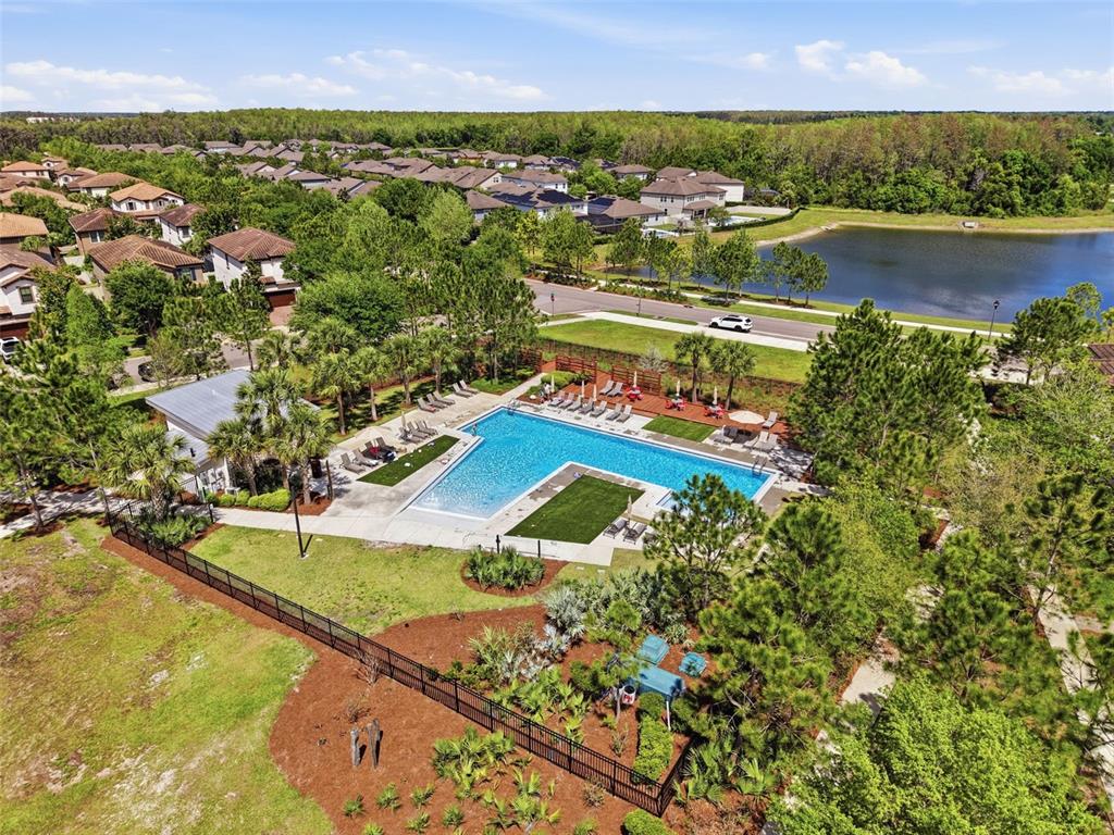 13631 Rangeland Boulevard Odessa, FL 33556 - Photo 80 of 83