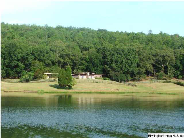 1000 Arabian Road Columbiana, AL 35051 - Photo 1 of 23