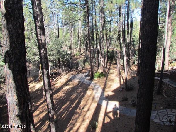 3734 Whispering Pines Road Pine, AZ 85544 - Photo 3 of 42 mini-IMG_6267