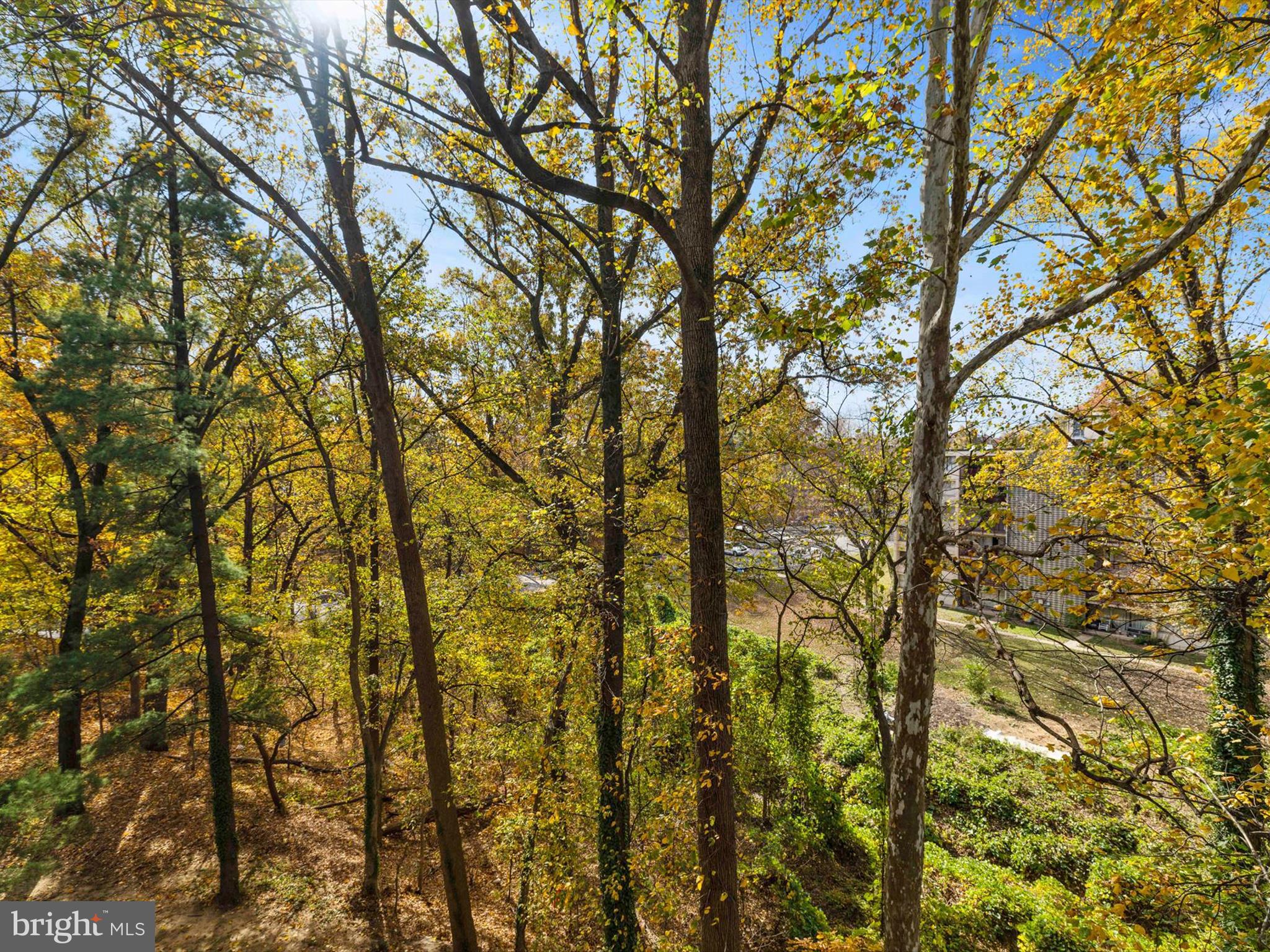 1802 Metzerott Road, Unit 403 Hyattsville, MD 20783 - Photo 28 of 30 Gallery Image 28
