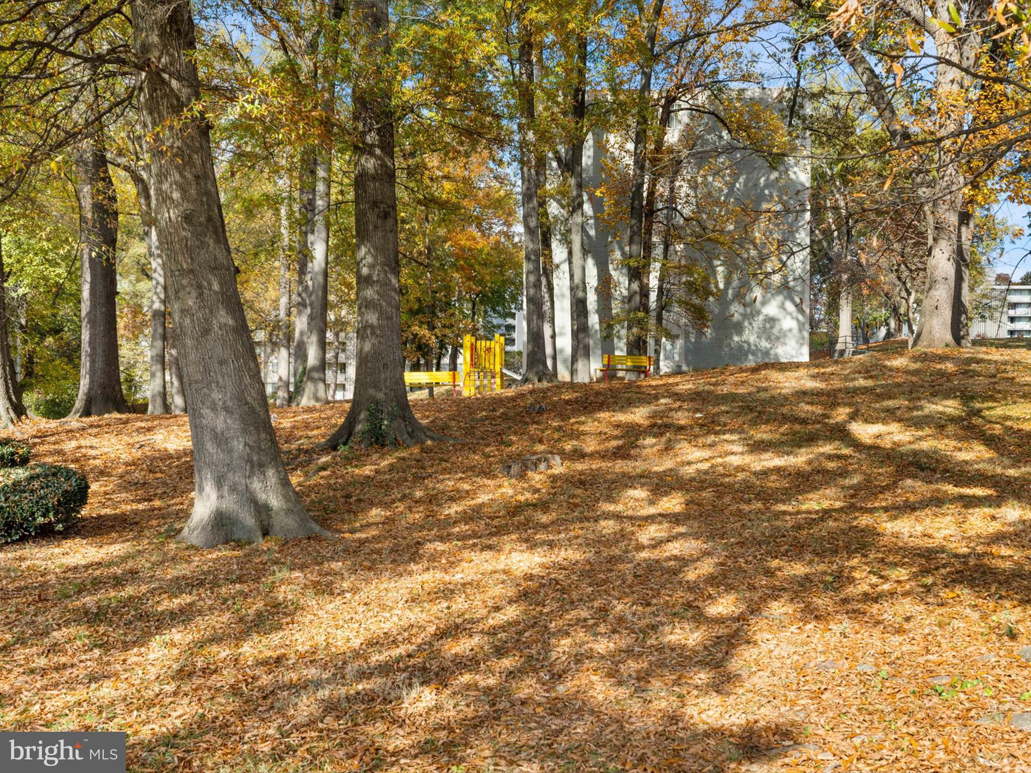 1802 Metzerott Road, Unit 403 Hyattsville, MD 20783 - Photo 30 of 30 Gallery Image 30