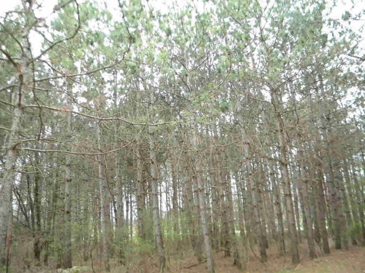 0 South State Corunna, MI 48817 - Photo 2 of 12