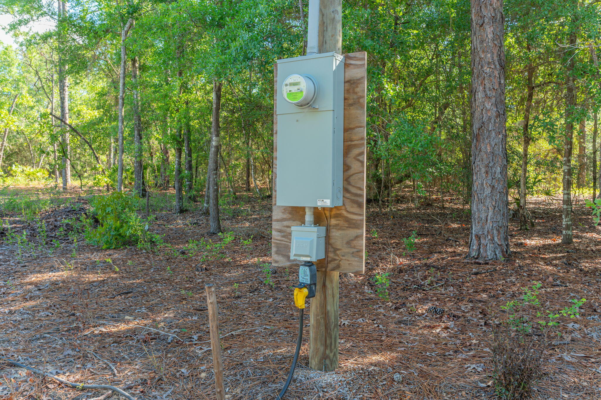 4449 Yellow Bluff Road Crestview, FL 32539 - Photo 6 of 42 a green field with trees in the background