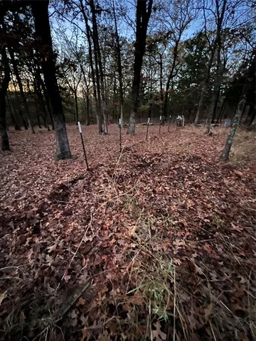 a view of a forest with trees
