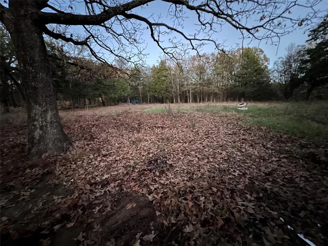 a view of a yard with a tree