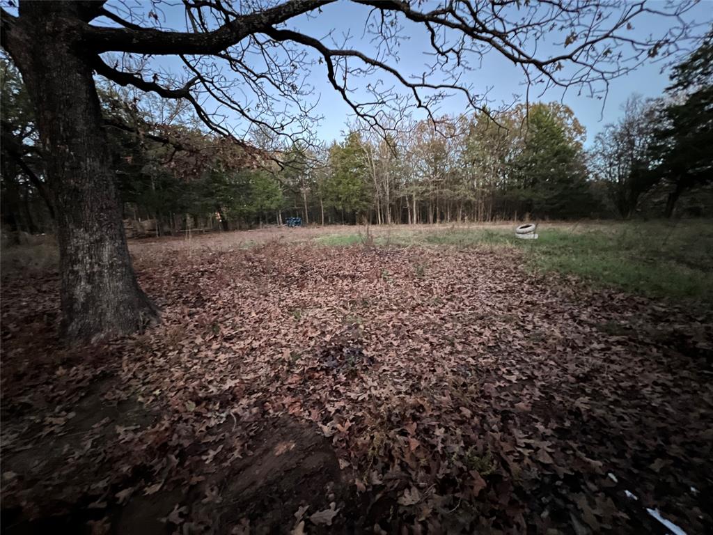 492 Richerson Road Denison, TX 75021 - Photo 20 of 28 a view of a yard with a tree