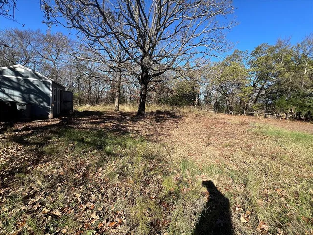 a view of a yard with trees