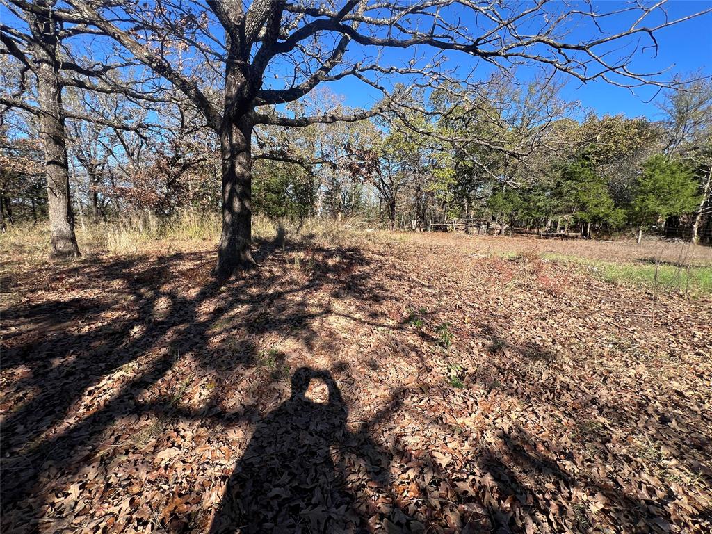 492 Richerson Road Denison, TX 75021 - Photo 24 of 28 a view of a yard with a tree