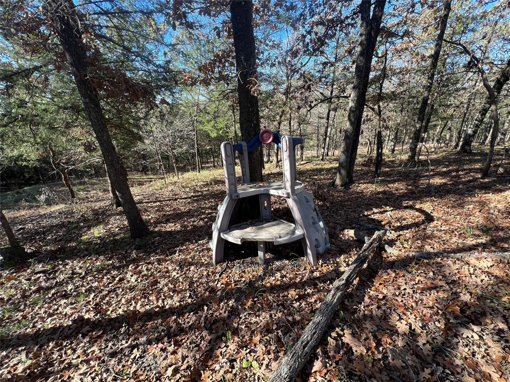 492 Richerson Road Denison, TX 75021 - Photo 26 of 28 a view of a tree in the middle of a yard