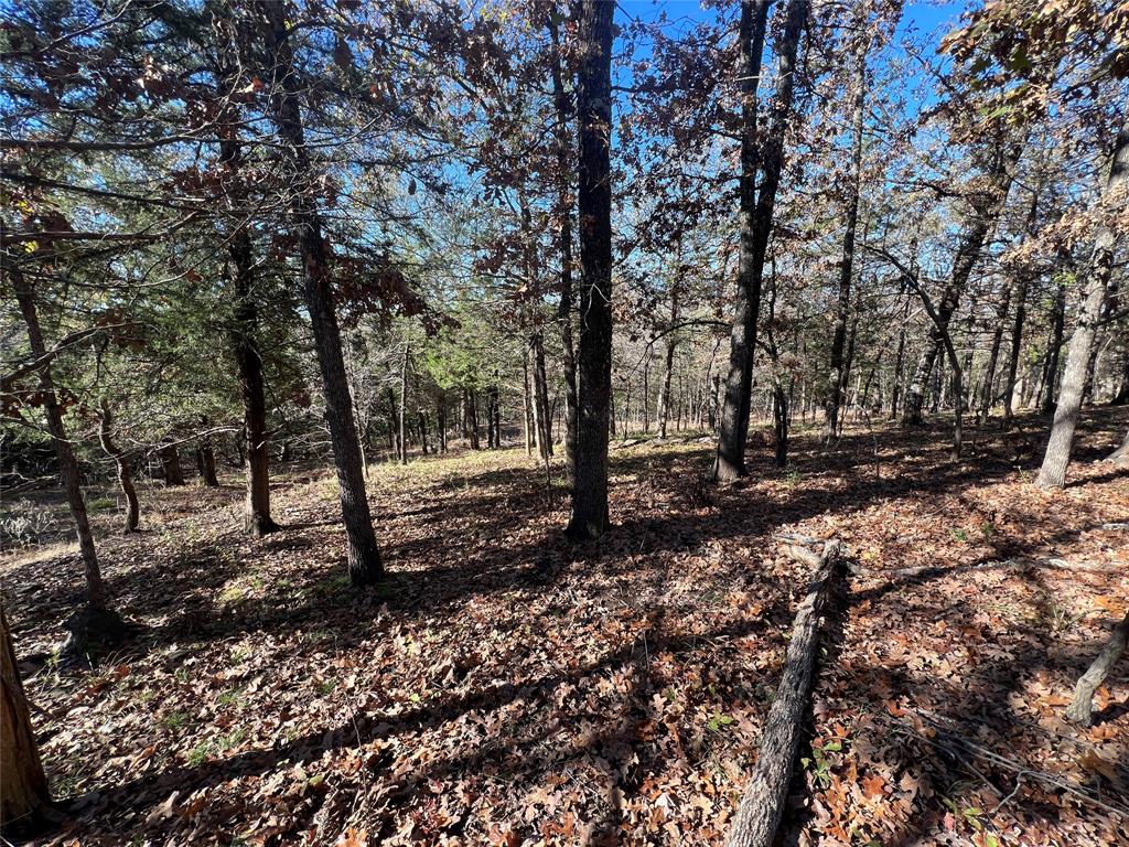 492 Richerson Road Denison, TX 75021 - Photo 27 of 28 a view of a forest with trees