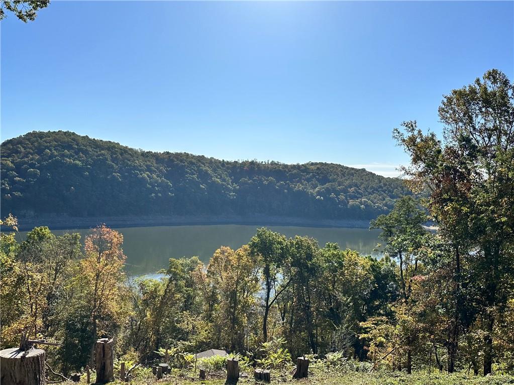 Lot 1 Big Bend Road Confluence, PA 15424 - Photo 3 of 5 Gallery Image 3