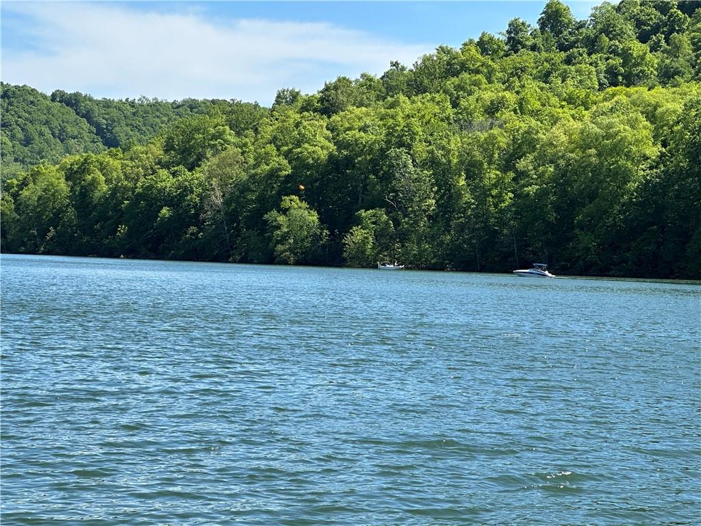Lot 1 Big Bend Road Confluence, PA 15424 - Photo 4 of 5 Gallery Image 4
